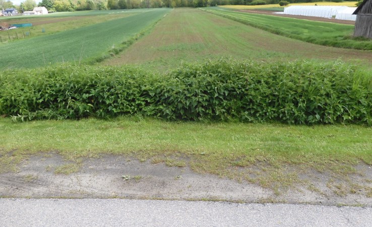 działka na sprzedaż - Kunów, Nietulisko Małe