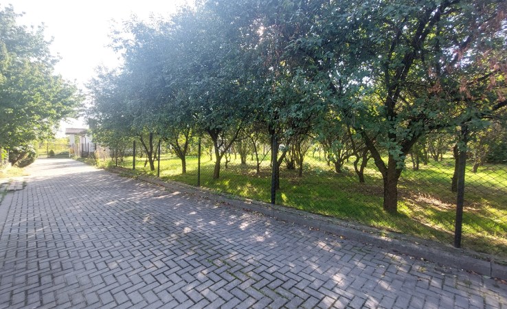 działka na sprzedaż - Bodzechów, Szewna